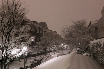 雪景色